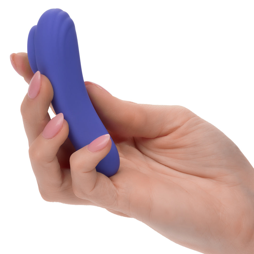 Calexotics Connect Panty Tease