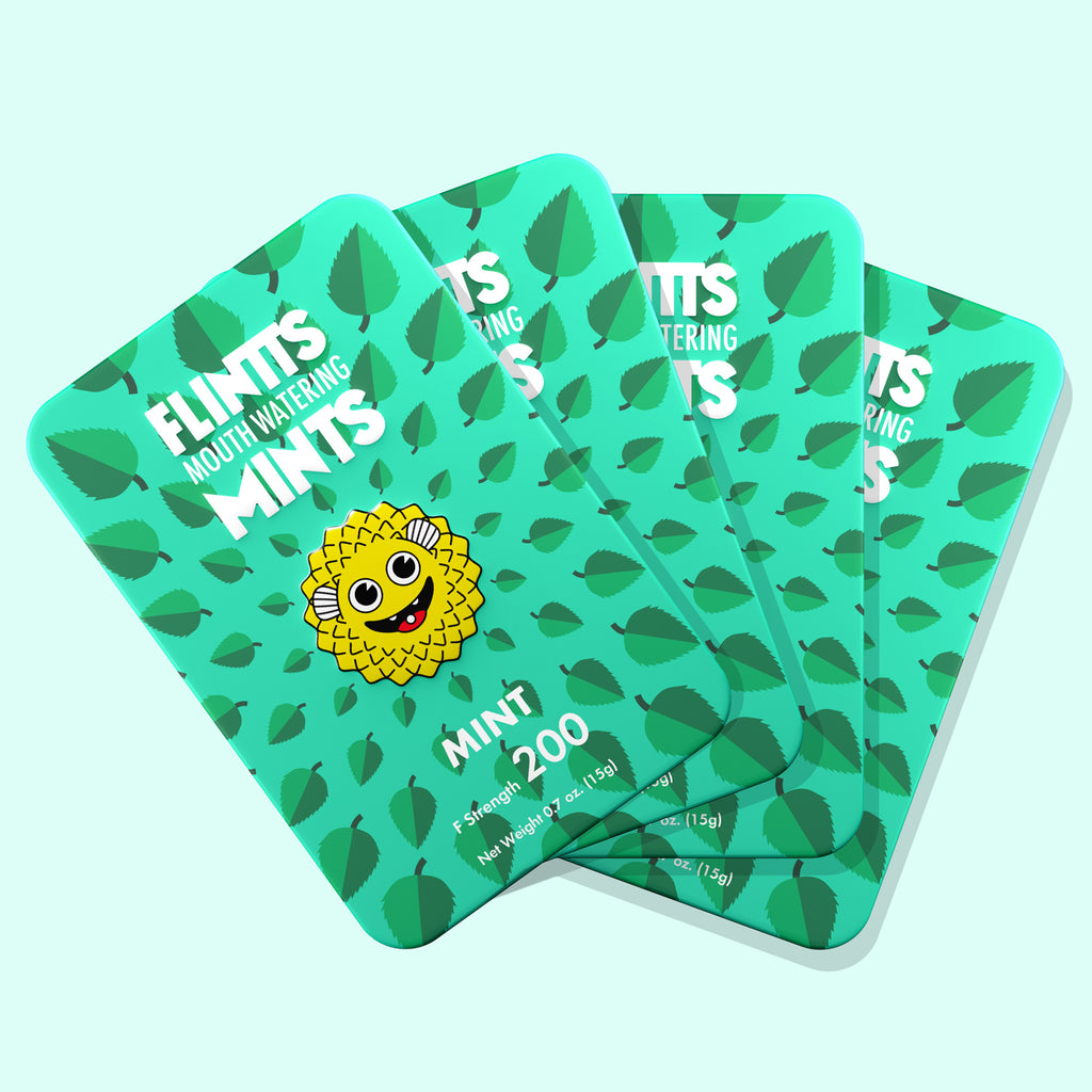 Flintts Mouth Watering Mints Mint