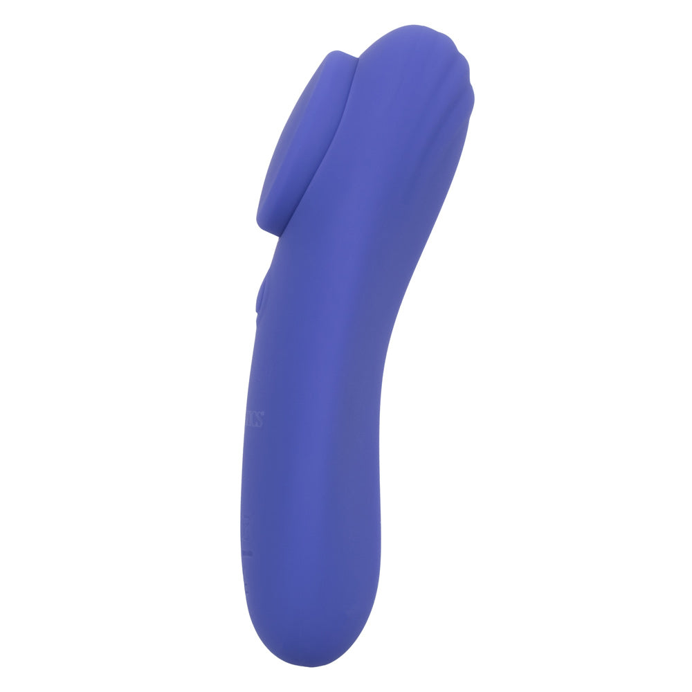 Calexotics Connect Panty Tease