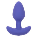 Calexotics Connect Tapered Plug