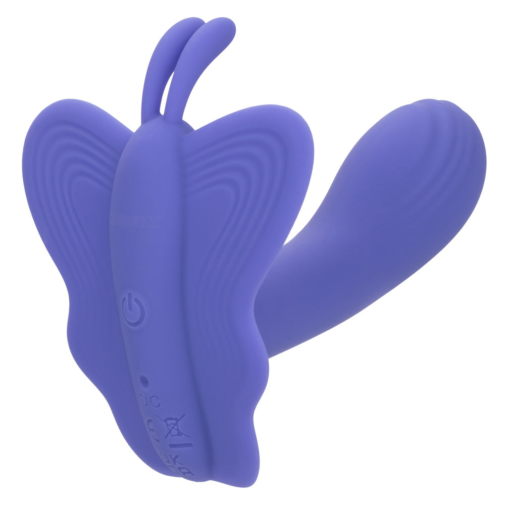 Cal Connect Venus Butterfly